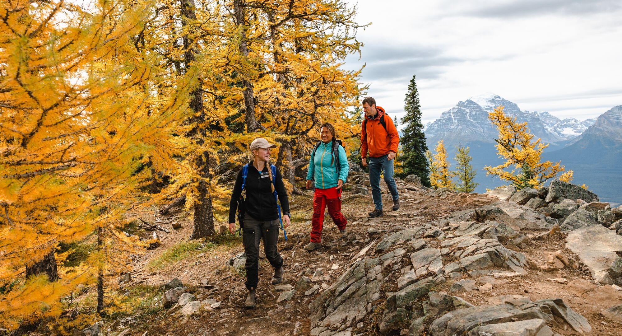 A group of people hiking amongst the fall colours at the Lake Louise Summer Gondola